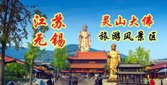 白虎高湖喷水视频江苏无锡灵山大佛旅游风景区